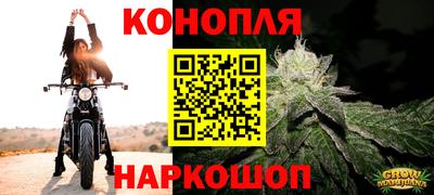 твердый Краснознаменск
