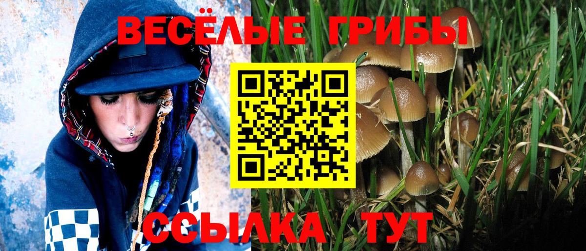 Ишим  Псилоцибиновые грибы мицелий  Вход с VPN  дарнет шоп  Псилоцибиновые грибы Psilocybe 