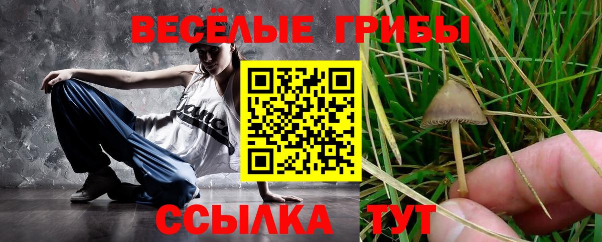 Псилоцибиновые грибы мицелий Ишим